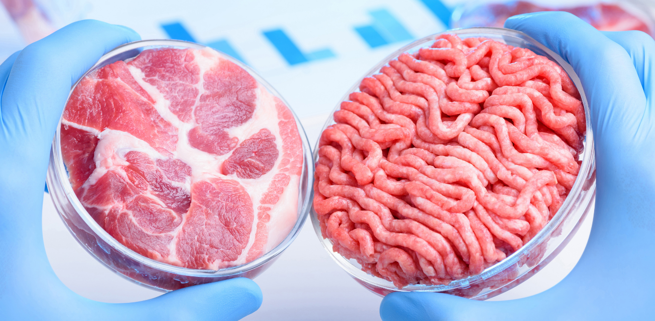 immagine con della carne prodotta in laboratorio